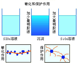 物理化学--西南大学网络与继续教育学院