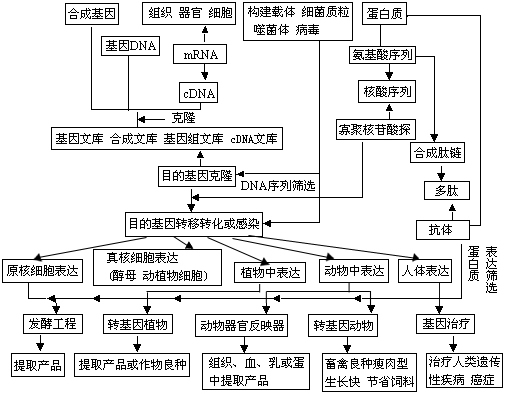 关于中学化学基本概念与基础理论的教学策略研究【分享】