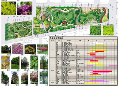 园林植物造景设计——西南大学网络教育学院