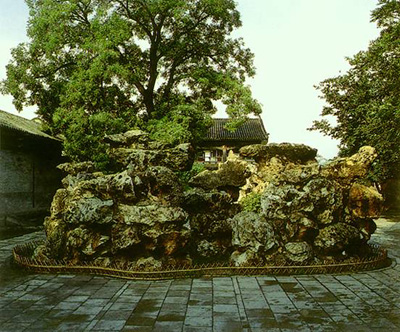 园林植物造景