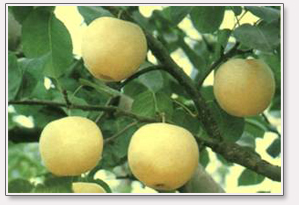 image004_13.jpg