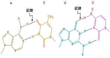 动物生物化学--西南大学网络与继续教育学院